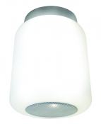Rhythm Ceiling Light