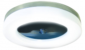 Polar Ceiling Light