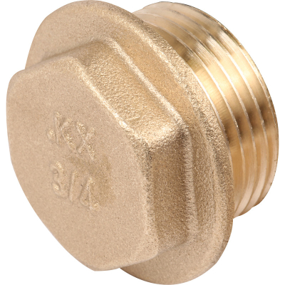 Brass Plug 1/4Inch